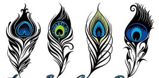 Psihološki test: Izaberite jedno pero i otkrijte najjače crte vašeg karaktera i skrivenu unutrašnju moć