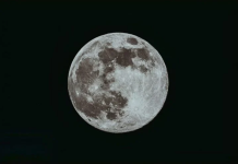 4 znaka ulaze u period prepun obilja i sreće: Od 10. februara ih čekaju samo lijepe vijesti