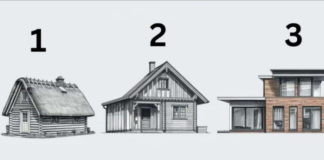 TEST! U KOJOJ KUĆI BISTE ŽIVJELI? Evo šta to govori o vama, OPREZ-SVIMA JE POGODILO!