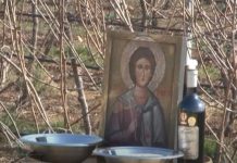 ŠTA ZNAČI AKO SUTRA PADA KIŠA, A ŠTA AKO PADNE SNEG? Narodno verovanje za Svetog Trifuna kaže da nas čeka…