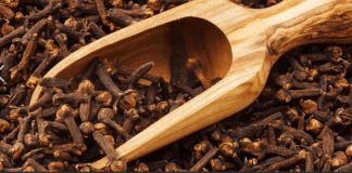 Uzmite čašu sirćeta, običnih karanfilića i dobro sačuvajte ovaj domaći trik: KORISTIM GA GODINAMA I PREPORUČUJEM SVIMA!