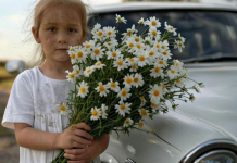 Prišla je svadbenim kolima mala djevojčica s buketom kamilica … Ali mlada slučajno primeti jednu ČUDNU DETALJU u njenoj kosi i nije mogla da veruje svojim očima… 😲😲😲