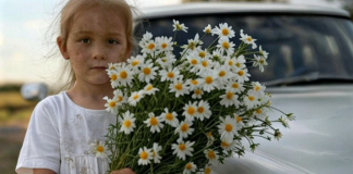 Prišla je svadbenim kolima mala djevojčica s buketom kamilica … Ali mlada slučajno primeti jednu ČUDNU DETALJU u njenoj kosi i nije mogla da veruje svojim očima… 😲😲😲