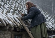 Starija žena je tokom celog leta i jeseni postavljala oštre drvene kolce na krov svoje kuće. Komšije su se smeškale — sve dok nije stigla zima.