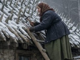 Starija žena je tokom celog leta i jeseni postavljala oštre drvene kolce na krov svoje kuće. Komšije su se smeškale — sve dok nije stigla zima.