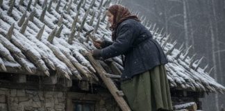 Starija žena je tokom celog leta i jeseni postavljala oštre drvene kolce na krov svoje kuće. Komšije su se smeškale — sve dok nije stigla zima.