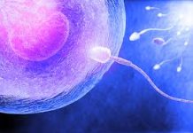 Pet stvari ukazuje da je muškarac neplodan – evo koje