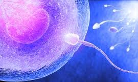 Pet stvari ukazuje da je muškarac neplodan – evo koje