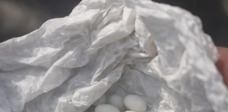 Pronašla sam čudne bijele kuglice u ruksaku svog 15-godišnjeg sina: on kaže da su to samo bomboni, ali mu ne vjerujem 😕