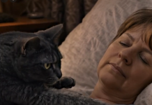 Mačka je svake noći budila svoju vlasnicu i tjerala je iz spavaće sobe: žena je mislila da mačka ima psihičke probleme, sve dok je nije odvela veterinaru.