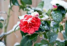 Mraz i snijeg će ponovo okovati Srbiju i to tačno ovog datuma u martu! Temperature od minus 2, čeka nas vremenski haos!