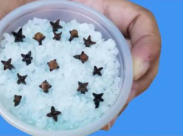 Kupatilo moje svekrve uvek lepo miriše, samo otvori vrata: 0V0 JE NJENA TAJNA!