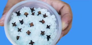 Kupatilo moje svekrve uvek lepo miriše, samo otvori vrata: 0V0 JE NJENA TAJNA!