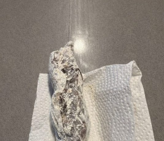 Pronašla sam nešto čudno u pakovanju brašna: odlučila sam otvoriti celofan da vidim šta je unutra… i kada sam shvatila šta je, bila sam potpuno šokirana.