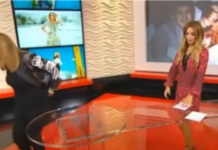 “SVE BIH VAS ZAPALILA, ZA KOSU BIH TE IZVUKLA!” Goca Tržan skočila na voditeljku, a kad čujete RAZLOG, sve će vam biti jasno: “Jesi li ti, bre, normalna?!”Kakav skandal u emisiji(VIDEO)