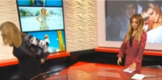 “SVE BIH VAS ZAPALILA, ZA KOSU BIH TE IZVUKLA!” Goca Tržan skočila na voditeljku, a kad čujete RAZLOG, sve će vam biti jasno: “Jesi li ti, bre, normalna?!”Kakav skandal u emisiji(VIDEO)