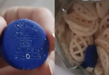 Pronašli smo čudan plavi predmet u kesi čipsa — evo šta se ispostavilo da je