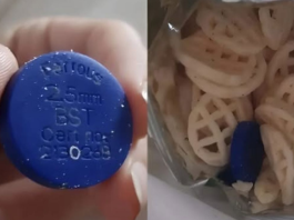 Pronašli smo čudan plavi predmet u kesi čipsa — evo šta se ispostavilo da je