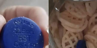 Pronašli smo čudan plavi predmet u kesi čipsa — evo šta se ispostavilo da je