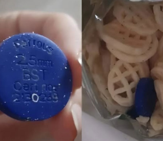 Pronašli smo čudan plavi predmet u kesi čipsa — evo šta se ispostavilo da je