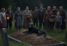 Pas se nije micao danima – a kada su videli šta je unutra nisu mogli da veruju