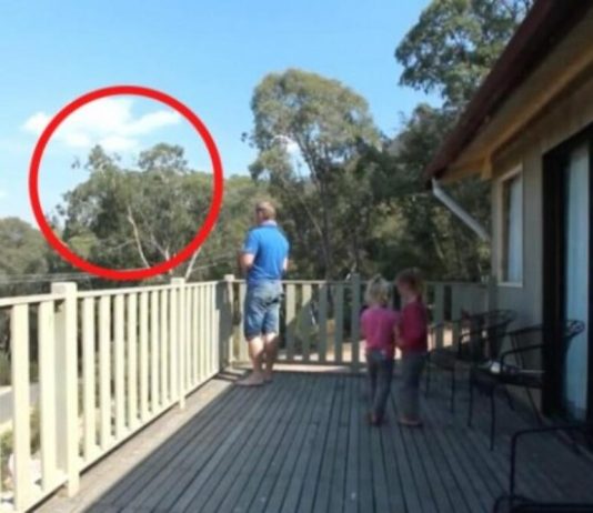 OTAC ILIJA UHVAĆEN SA ĆERKAMA NA BALKONU, MAJKA ODMAH IZLETJELA: Vrištali su dok su to radili (VIDEO)