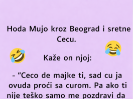VIC: Mujo sretne Cecu