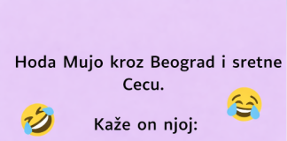 VIC: Mujo sretne Cecu