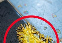 Pronašao sam ovo u kupaonici svoje djevojke. Gledamo to već sat vremena i još uvijek ne možemo shvatiti što je to.