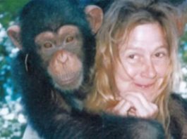 Sandra je godinama gajila šimpanzu i spavala sa njom, ne sluteći šta će je snaći: Taj užas potresao je ceo svet