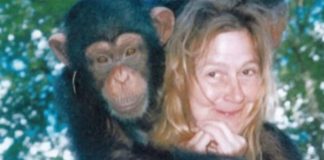 Sandra je godinama gajila šimpanzu i spavala sa njom, ne sluteći šta će je snaći: Taj užas potresao je ceo svet