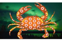 ZasluĆŸena sreÄa stiĆŸe: Ovi horoskopski znaci Äe doĆŸiveti Äaroliju dobrih dela!