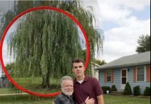 Mislio sam da sam ostao bez svega — dok nisam otvorio sef