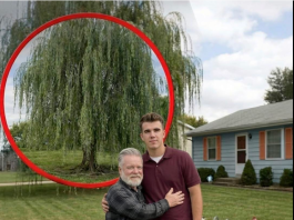 Mislio sam da sam ostao bez svega — dok nisam otvorio sef