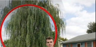 Mislio sam da sam ostao bez svega — dok nisam otvorio sef