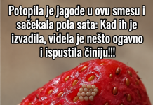 Potopila je jagode u ovu smesu i sačekala pola sata: Kad ih je izvadila, videla je nešto ogavno i ispustila činiju!!!