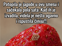 Potopila je jagode u ovu smesu i sačekala pola sata: Kad ih je izvadila, videla je nešto ogavno i ispustila činiju!!!