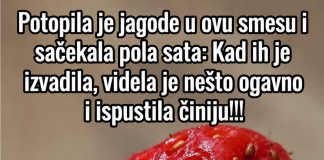 Potopila je jagode u ovu smesu i sačekala pola sata: Kad ih je izvadila, videla je nešto ogavno i ispustila činiju!!!