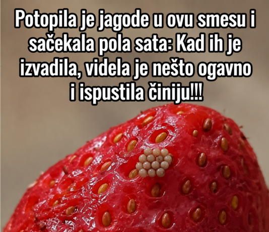 Potopila je jagode u ovu smesu i sačekala pola sata: Kad ih je izvadila, videla je nešto ogavno i ispustila činiju!!!