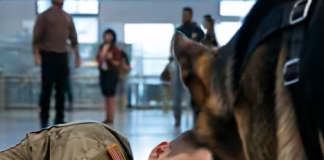 Ljudi na aerodromu primijetili muškarca u uniformi kako leži na podu, a pored njega je sjedio njemački ovčar: svi su ostali šokirani kada su saznali zašto životinja laje i reži na one u blizini 😱😱