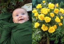Neko je ostavio bebu u mom ružičnjaku s porukom u kojoj me moli da ga čuvam: Ono što mi je bezbednosna kamera pokazala sledećeg dana srušilo mi je ceo svet