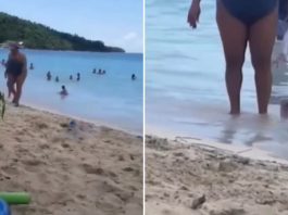 Snimak sa plaže koji ljudi gledaju po 10 puta zaredom: “Možete da kažete šta hoćete, ali ja joj skidam kapu”