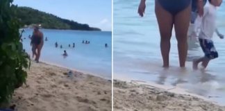 Snimak sa plaže koji ljudi gledaju po 10 puta zaredom: “Možete da kažete šta hoćete, ali ja joj skidam kapu”