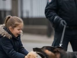 Službeni pas je počeo lajati kada je vidio petogodišnju djevojčicu, a zatim joj je oteo plišanu igračku iz ruku: a onda se desilo nešto neočekivano 😱😱
