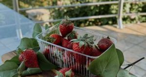 OVO JE NAJVEĆA PREVARA SA JAGODAMA KOJU VAM PODMEĆU NA PIJACAMA: Ako vidite ovo na dnu gajbice, bežite od te tezge