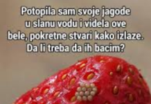 Potopila je jagode u ovu smesu i sačekala pola sata: Kad ih je izvadila, videla je nešto ogavno i ispustila činijuproblemi, nikako ne smete da jedete jagode!