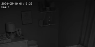 Novi roditelji su primijetili da njihov pas svake noći sjedi pored krevetića bez pomaka – pa su odlučili da instaliraju kameru 😱😱