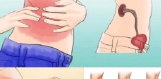 KAD SA BUBREZIMA NIJE SVE U REDU, TIJELO ŠALJE OVE SIGNALE: 6 Simptoma koje ne smijete ignorisati! KAD SA BUBREZIMA NIJE SVE U REDU, TIJELO ŠALJE OVE SIGNALE: 6 Simptoma koje ne smijete ignorisati! - featured image