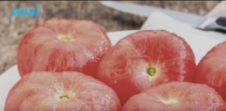 Stručnjaci upozoravaju: Ne stavljajte paradajz u frižider Stručnjaci upozoravaju: Ne stavljajte paradajz u frižider - featured image