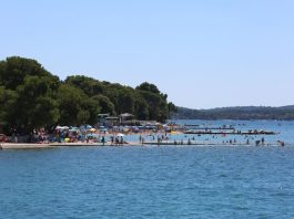 U plićaku Jadrana viđeno opasno stvorenje: Približilo se popularnoj plaži, upozorenje za turiste i kupače U plićaku Jadrana viđeno opasno stvorenje: Približilo se popularnoj plaži, upozorenje za turiste i kupače - featured image